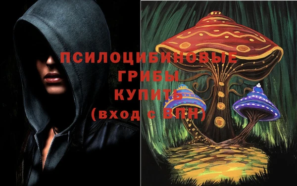 бутират Алексин