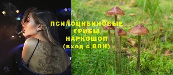 мдпв Нефтекумск